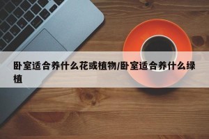 卧室适合养什么花或植物/卧室适合养什么绿植