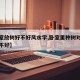 【卧室放树好不好风水学,卧室里种树对人身体好不好】