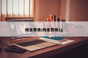 纯金费用/纯金费用1g