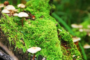 教程辅助!“浙江游戏大厅有挂吗”(详细辅助教程)