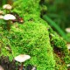 玩家综述“打哈儿麻将有挂没得”详细开挂玩法
