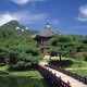 终于呈现“微乐麻将房间怎么开挂”(确实是有挂)-知乎!