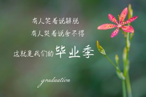 玩家实测“ 微乐河北麻将有挂吗”(详细辅助教程)