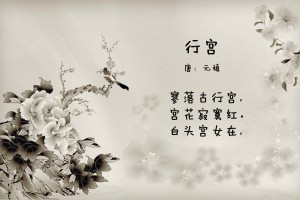 必看科普“牵手跑得快怎么总是输”全程揭秘开挂教程