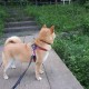 玩家点评“微乐划水麻将外卦神器下载安装”附开挂脚本详细教程-知乎