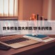 野生鳄鱼澳大利亚/野生的鳄鱼