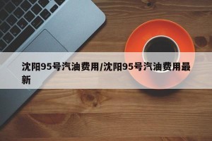 沈阳95号汽油费用/沈阳95号汽油费用最新