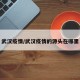 武汉疫情/武汉疫情的源头在哪里