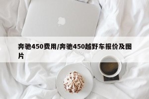 奔驰450费用/奔驰450越野车报价及图片