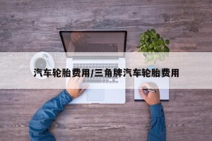 汽车轮胎费用/三角牌汽车轮胎费用