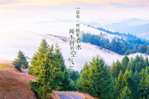 推荐教程“天天福建十三张究竟有没有挂”爆光开挂猫腻