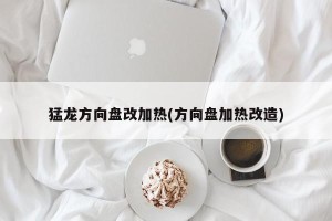 猛龙方向盘改加热(方向盘加热改造)