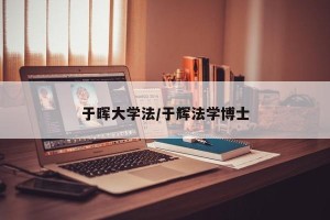 于晖大学法/于辉法学博士