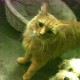 盘点一款“功夫川麻打牌规律”爆光开挂猫腻