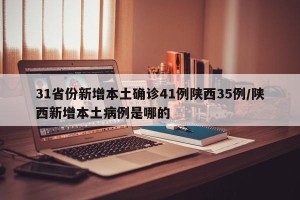 31省份新增本土确诊41例陕西35例/陕西新增本土病例是哪的