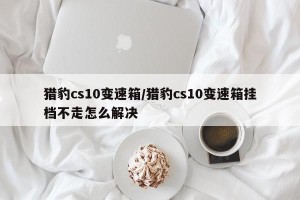 猎豹cs10变速箱/猎豹cs10变速箱挂档不走怎么解决