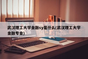 武汉理工大学金融sy是什么(武汉理工大学金融专业)