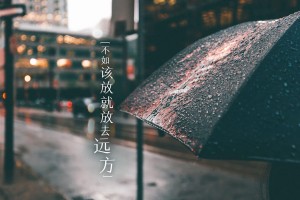 玩家攻略宝典“微信干瞪眼小程序辅助器”详细开挂玩法