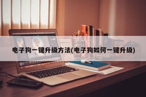 电子狗一键升级方法(电子狗如何一键升级)