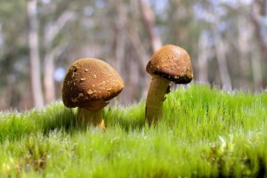 教程辅助！“微乐山西麻将开挂神器”附开挂脚本详细教程-知乎