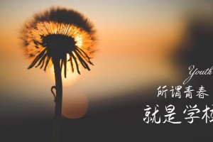 分享干货“微乐麻将万能开挂器”(确实是有挂)-知乎!