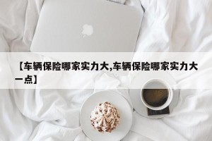 【车辆保险哪家实力大,车辆保险哪家实力大一点】