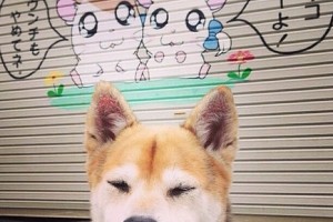 玩家实测“吉祥麻将填大坑开挂神器下载”分享装挂步骤