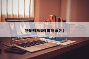 悦府样板房(悦府系列)