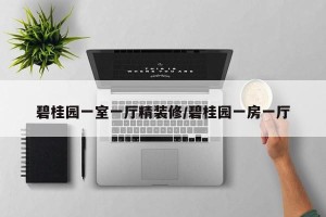 碧桂园一室一厅精装修/碧桂园一房一厅