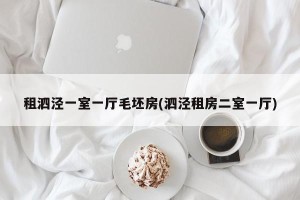 租泗泾一室一厅毛坯房(泗泾租房二室一厅)